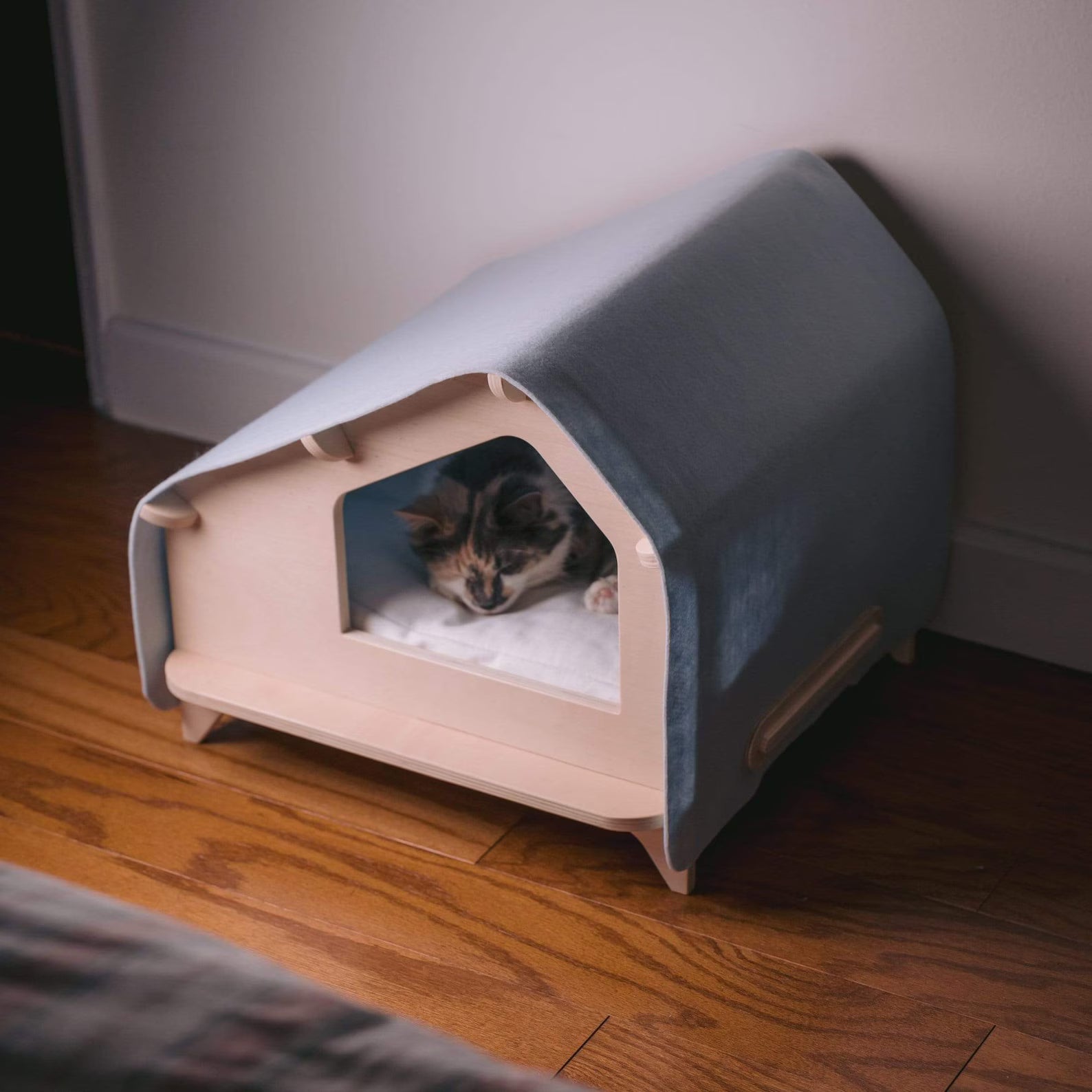 Cat house