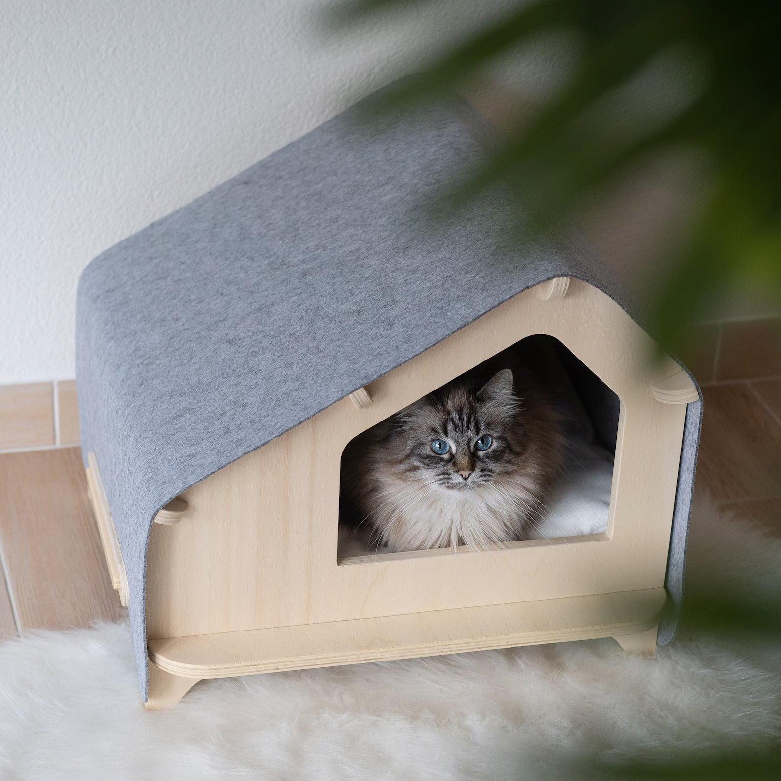 Cat house