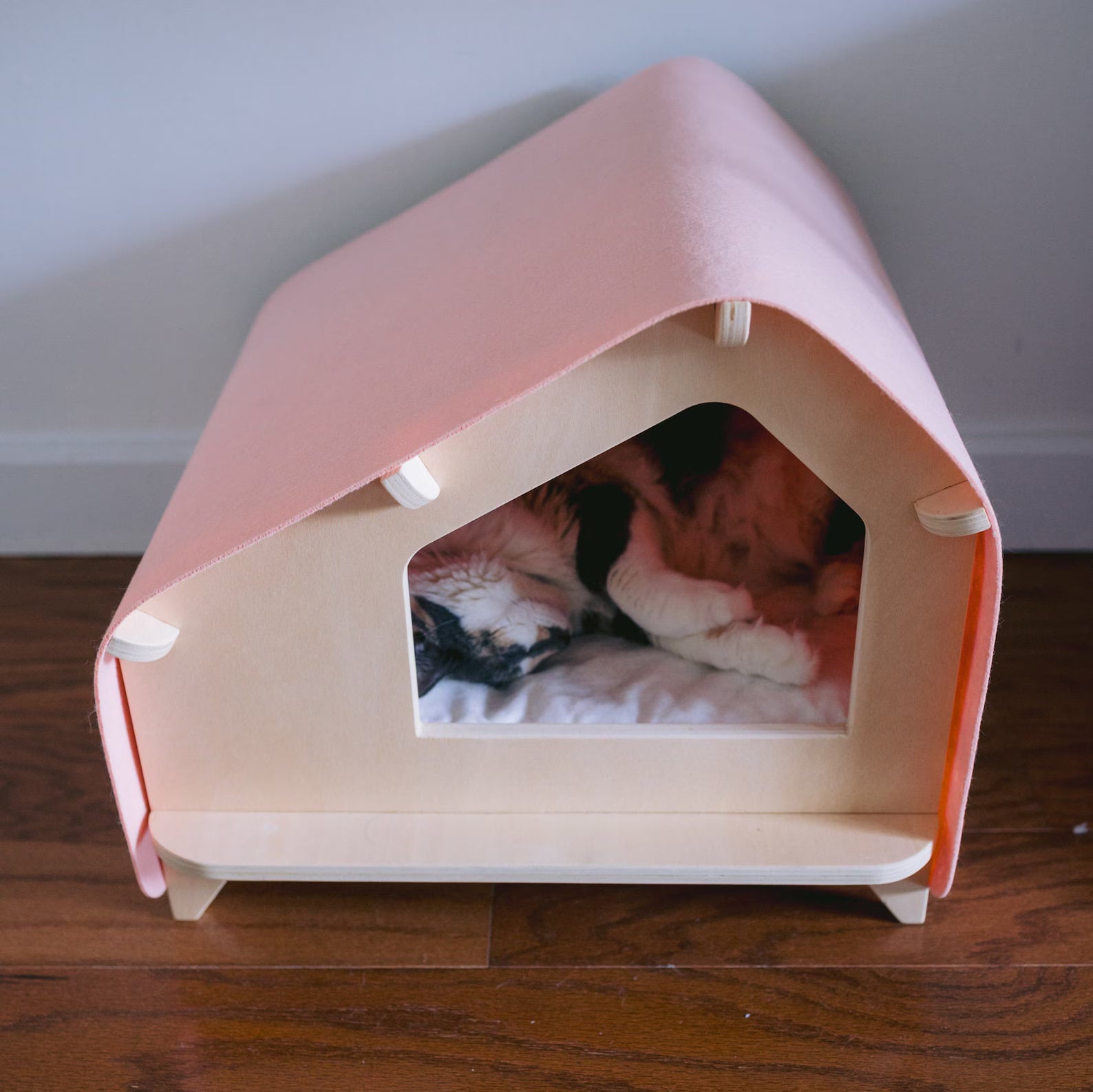 Cat house