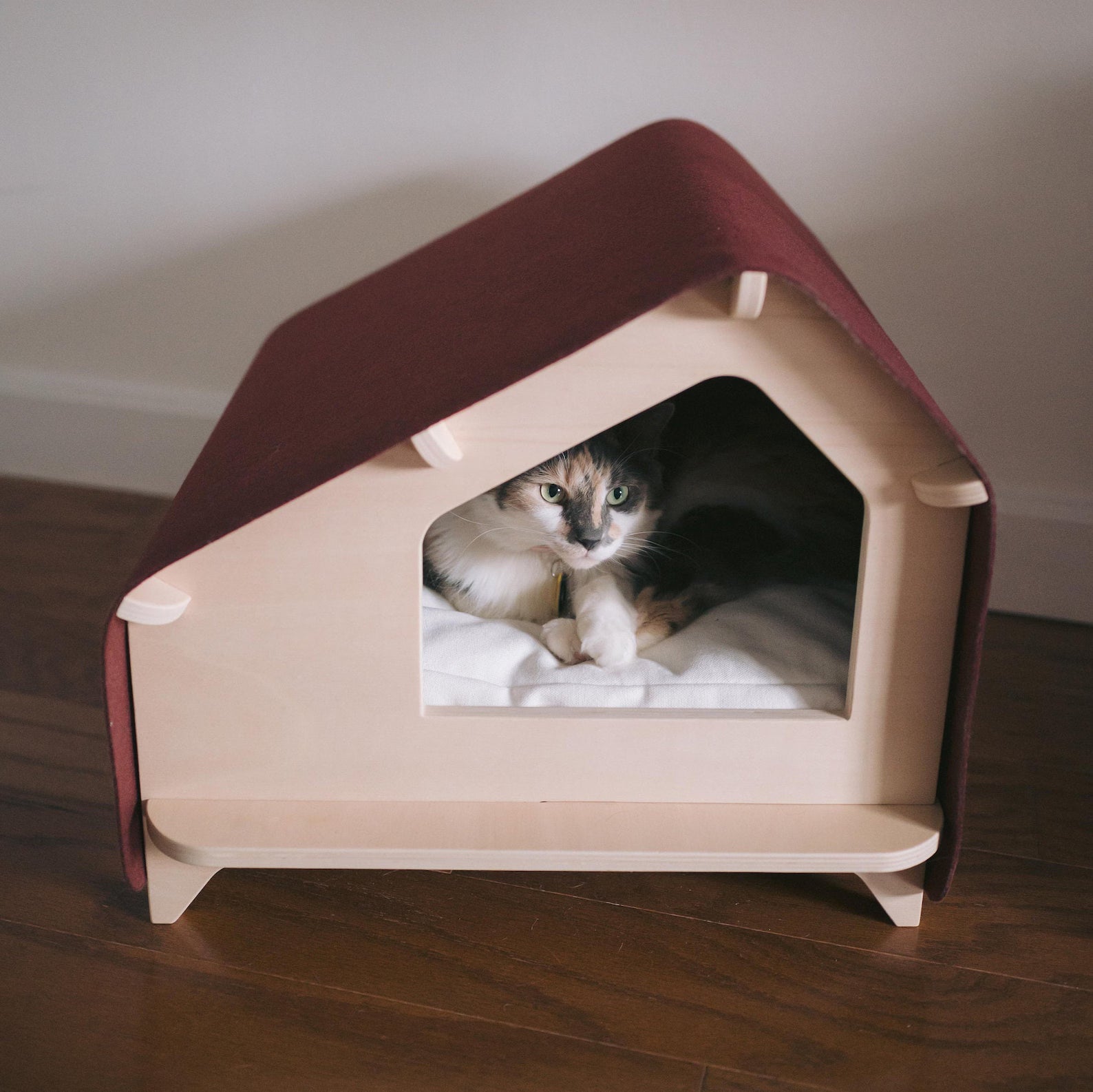 Cat house